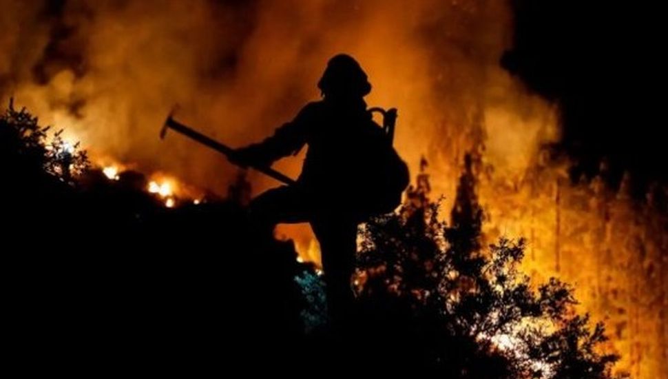 Más de 2600 hectáreas arrasadas por el incendio en Tenerife