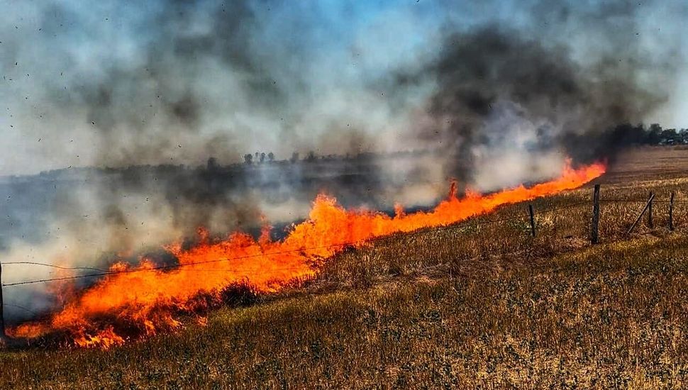 Alarma por el aumento de incendios forestales en Pergamino