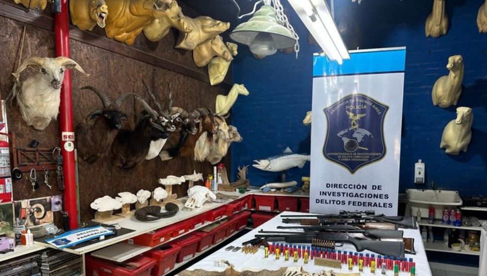 Allanaron un taller de taxidermia clandestino que funcionaba en provincia de Buenos Aires