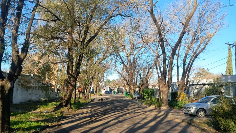 ATEPAM: nacido del "esfuerzo propio", con fuerte identidad pergaminense