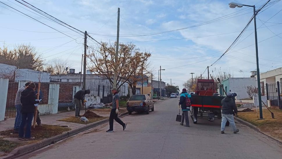 Plantarán más de 500 árboles en Salto