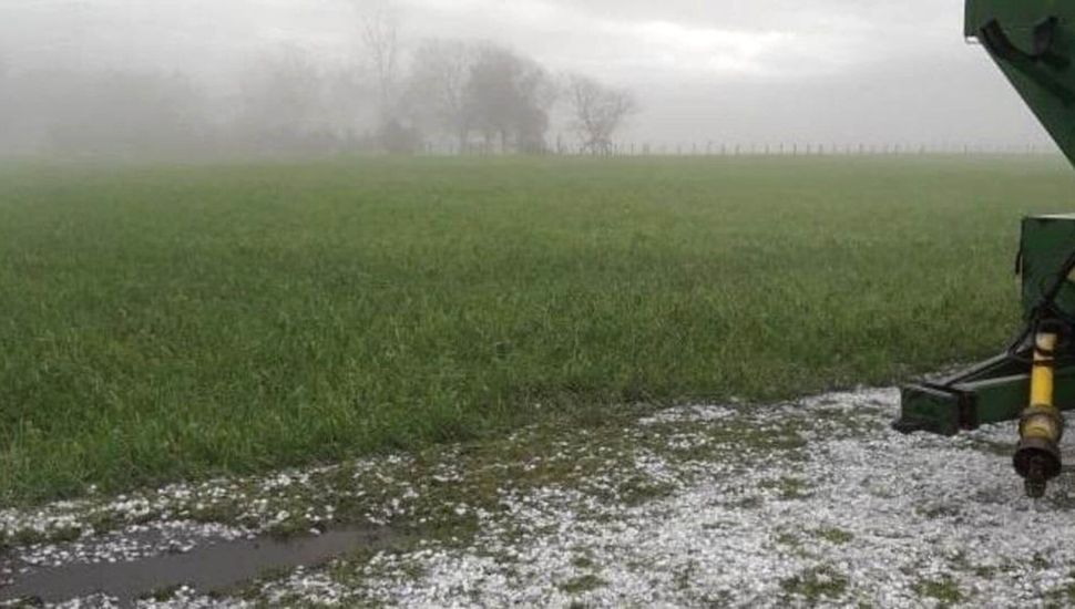 La lluvia en los campos de Pergamino fue bienvenida pero insuficiente
