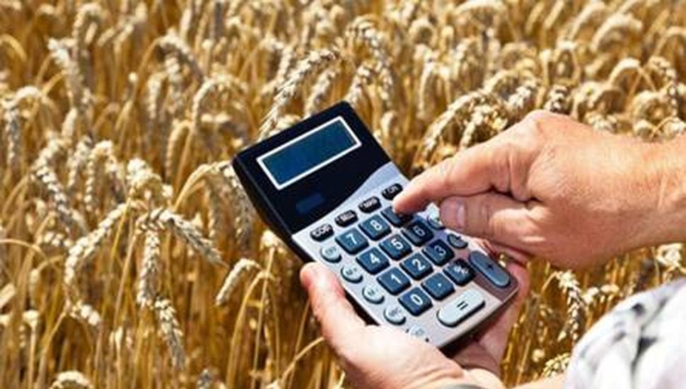 ¿Cuál es costo en quintales de hacer una hectárea de trigo, soja, maíz y sorgo?