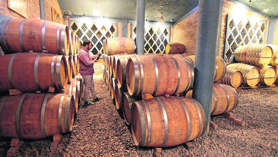 Cómo es la Ruta del Vino de Tucumán