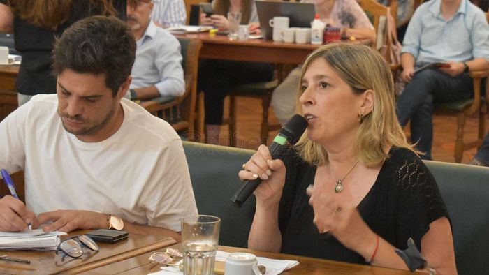 Marcela Conti renunció a la presidencia del bloque Frente Renovador