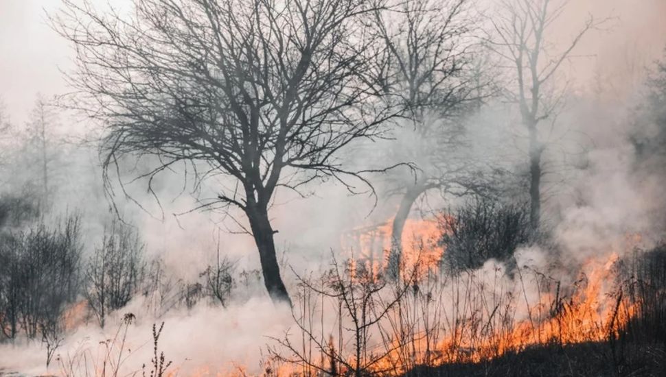 Riesgo "extremo" por incendios forestales en muchas provincias