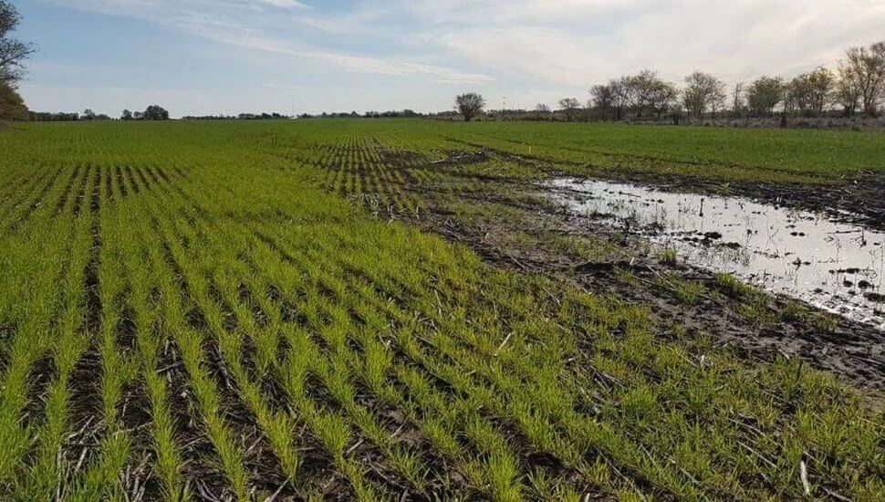 Se registraron nuevas precipitaciones en Pergamino y la Región