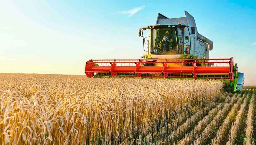 Las entidades agrarias le quitan optimismo a las proyecciones del Gobierno para el trigo