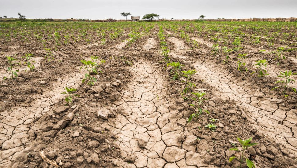 La campaña agrícola arrancó con falta de agua
