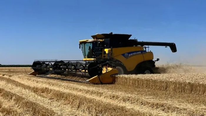 Avance de cosecha de cultivos de invierno