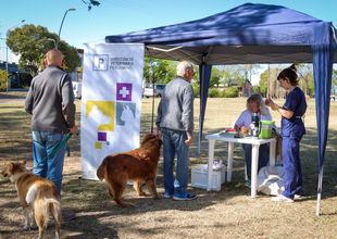 Exitosa campaña de vacunación antirrábica en el Parque Belgrano