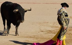 Por la tortura animal, España cancela un premio de corridas de toros