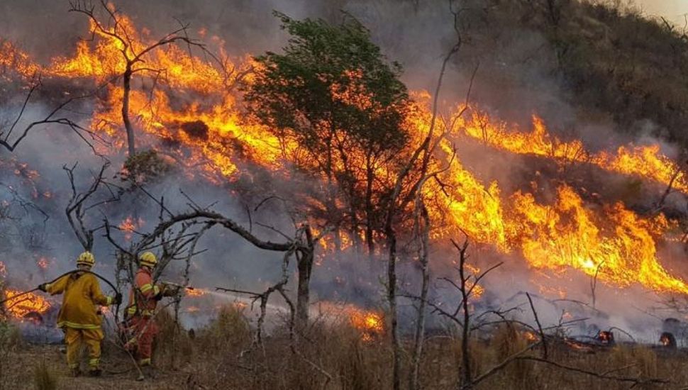 Cinco provincias registran incendios forestales activos