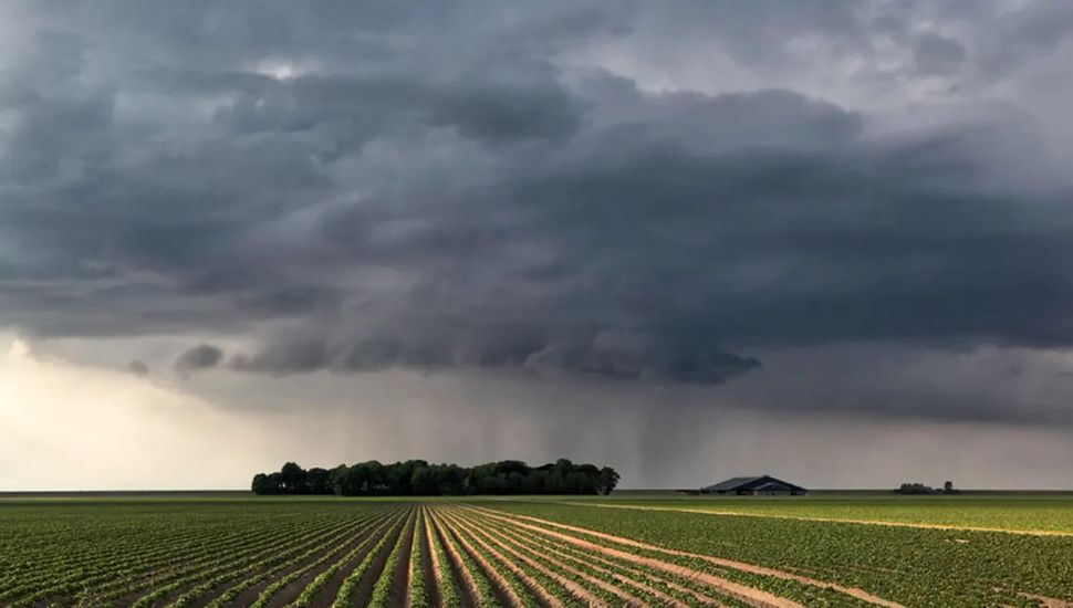 El impacto de “La Niña” en la gruesa 2024/25: buenas y malas noticias