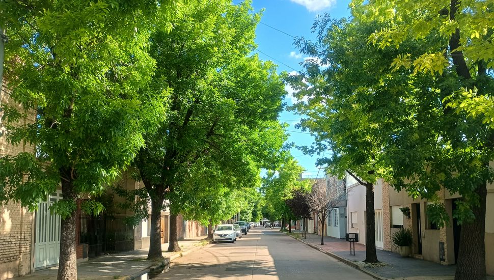 Zona Tribunales: donde el Centro adquiere ritmo de barrio