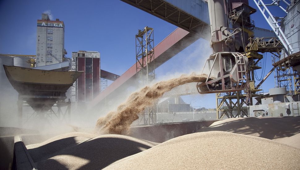 Fuerte suba de las exportaciones de granos