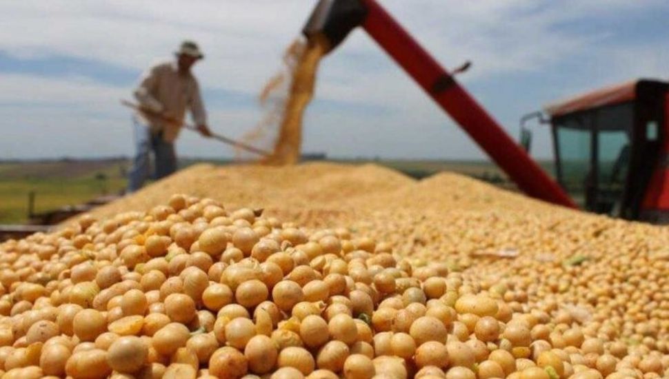 El Gobierno elimina las retenciones a los granos hasta el 31 de octubre