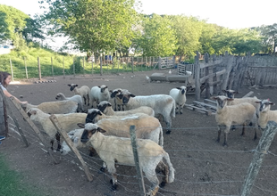 Una granja agroecológica que promueve la vida en el campo y la alimentación saludable