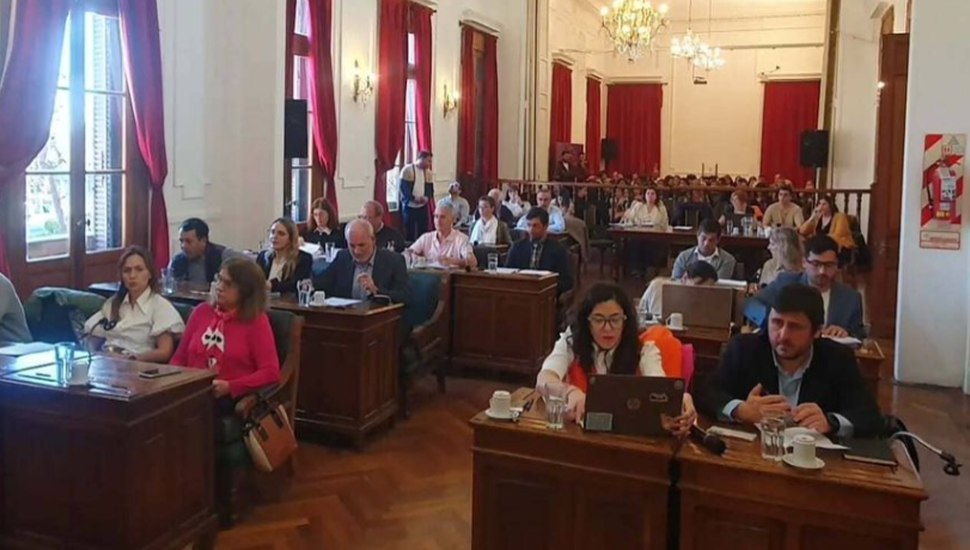 Accesibilidad: reclamo de Discapacidad Argentina ante el Concejo Deliberante