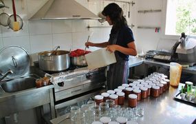 Colón abre las puertas a las Pequeñas Unidades Productivas Alimentarias