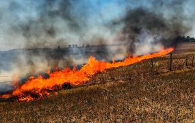 Alarma por el aumento de incendios forestales en Pergamino