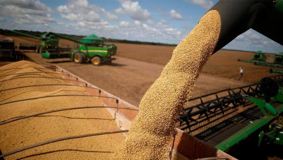 Descontento en el sector del campo de Pergamino con las retenciones cero del Gobierno de Milei