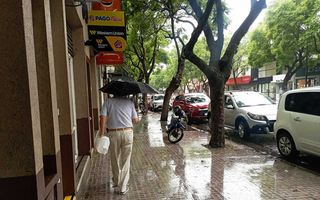 Tras un enero casi sin agua, regresaron las lluvias al Partido de Pergamino