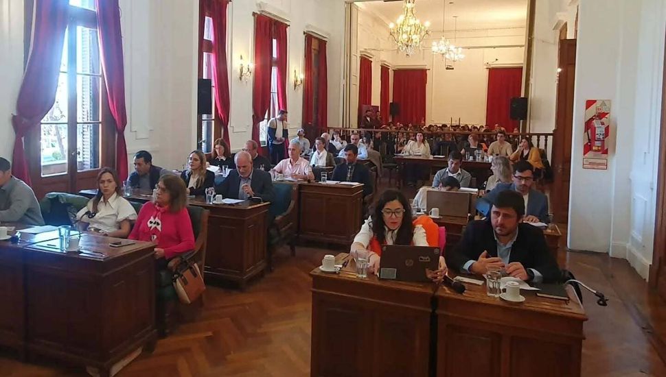 El HCD votó acompañar y asistir a las instituciones que trabajan en discapacidad