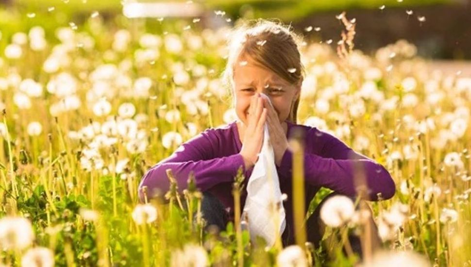 El lado oscuro de la época primaveral: ¿cómo se puede combatir a todas las alergias?