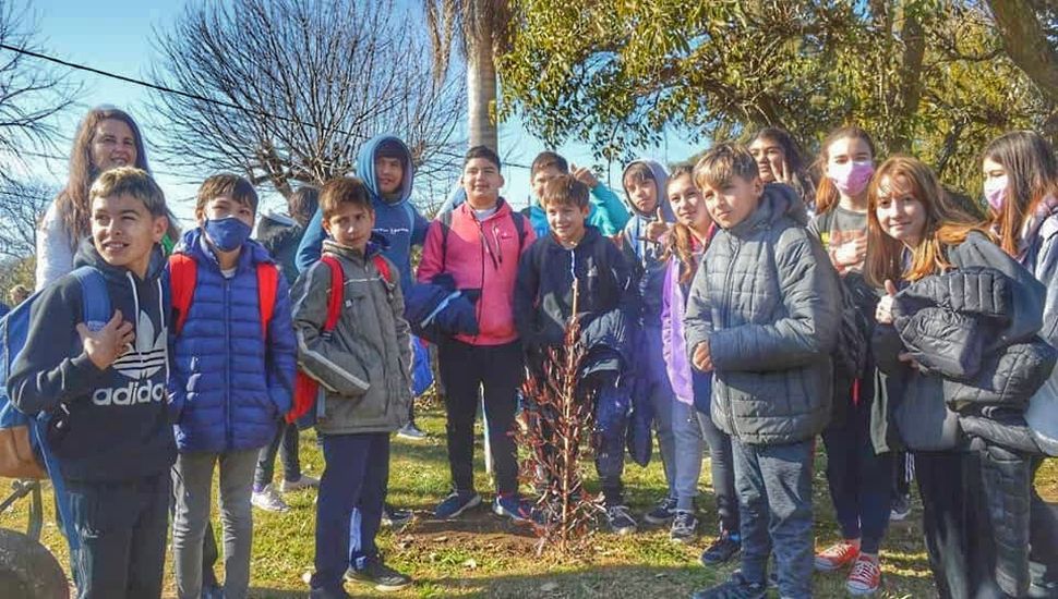 La Secundaria 7 realizó plantación de árboles