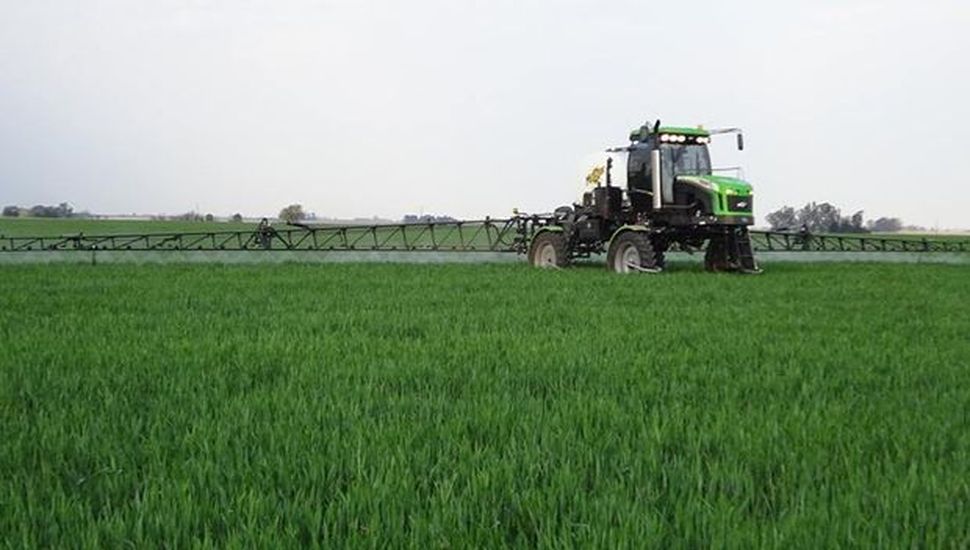 Fungicidas en trigo: aplicación química basada en el nivel de daño económico y criterio agronómico profesional