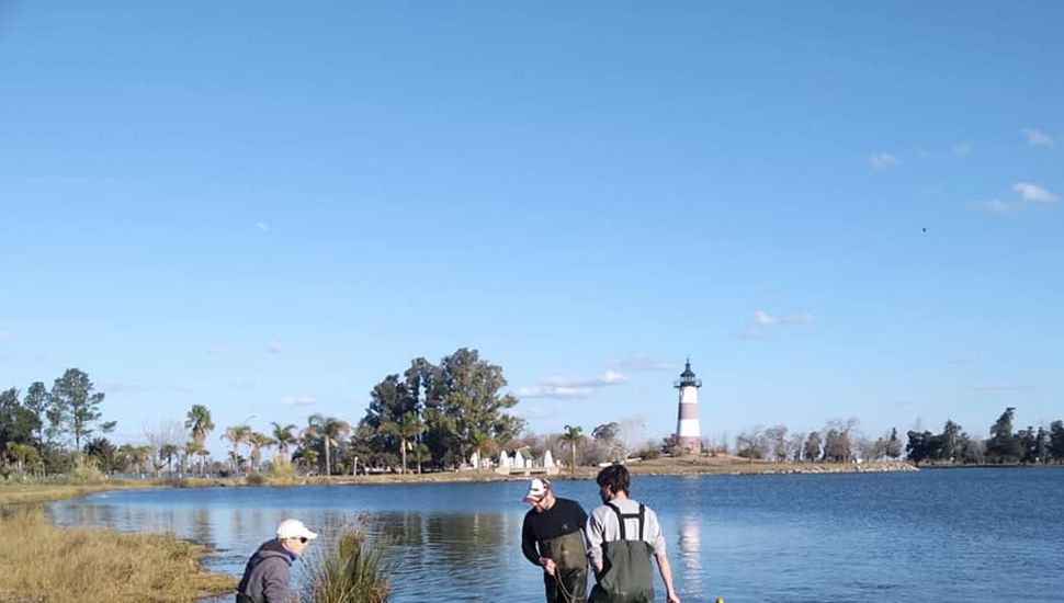 Realizan estudios del agua en el Lago de Colón