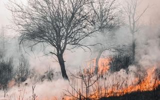Riesgo "extremo" por incendios forestales en muchas provincias