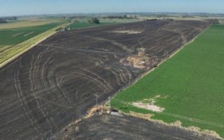 Se disparan los incendios forestales en Pergamino: las salidas de Bomberos aumentaron hasta un 80%