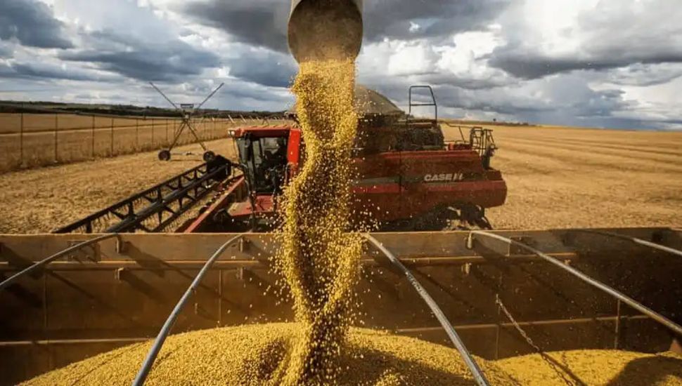 El Gobierno nacional anunció una nueva baja de retenciones