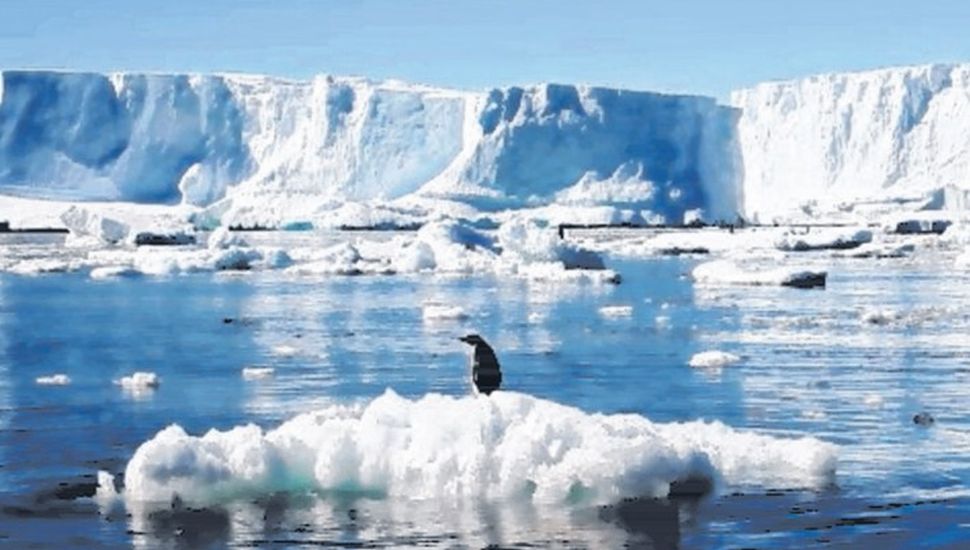 La Antártida se derrite, ¿y nos tapa el agua?