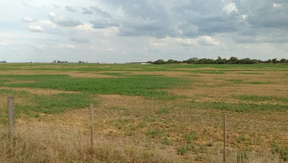 El campo en estado de alerta ante la llegada de La Niña