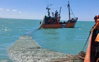 La actividad económica creció un 3,2% interanual en octubre