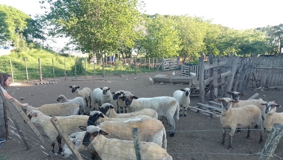 Una granja agroecológica que promueve la vida en el campo y la alimentación saludable