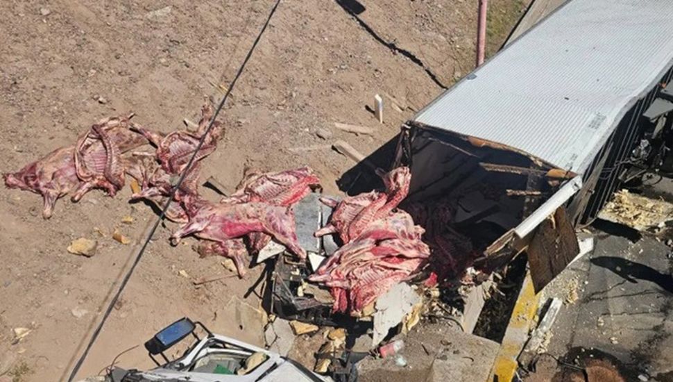 La Policía evitó el saqueo del camión de Junín que volcó y perdió su valiosa carga de carne vacuna