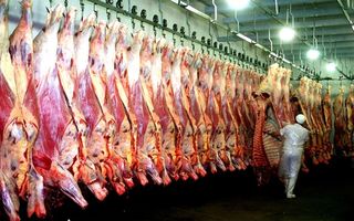 Canasta básica: fuertes alzas que superan la inflación