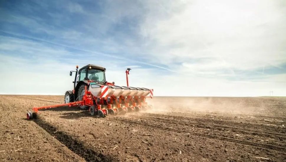 Las lluvias trajeron alivio a los productores agrícolas y ganaderos