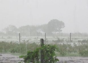 En Salto llovieron 721 milímetros durante los últimos tres meses
