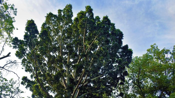 La joya natural única de la Provincia que deslumbra con su brillo e historia