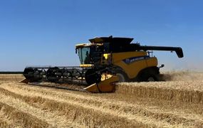 Avance de cosecha de cultivos de invierno