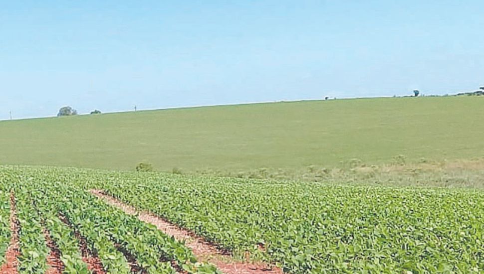 Enojo en el campo por el aumento de las retenciones a la soja y el maíz