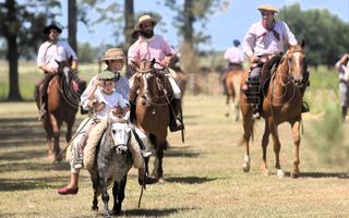 Comenzó la primera Fiesta del Domador en Pergamino: mansedumbre, tradición y respeto animal