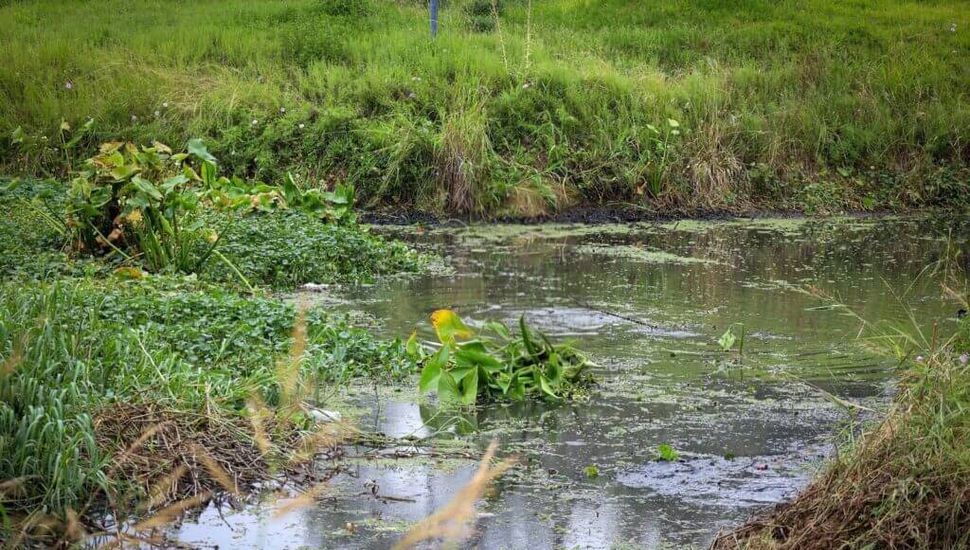 Despliegue de trabajos de los equipos de Servicios Públicos