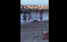 Sacó a pasear con correa a su chancho por la playa en Mar del Plata