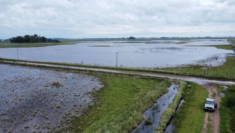 El Gobierno nacional declaró y prorrogó la emergencia agropecuaria en zonas de Entre Ríos, Buenos Aires y Río Negro
